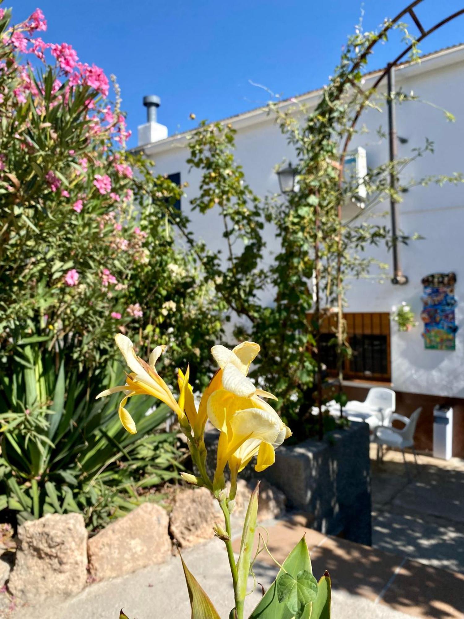 Alojamiento Rural Mar De Olivos Castril Bagian luar foto